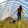 thegrowergirl
