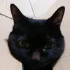 tokoroame