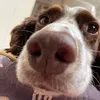 jacobrammm64