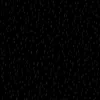 freddy_williamdh