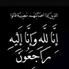 hama___18