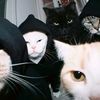 sweetnutts_