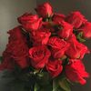 estefan543
