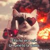 normanunez02