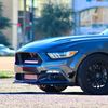 mcstuud713