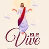 jesus.cristofe