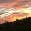 user5218029