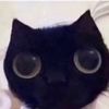 piki_520
