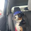 nalatheberner.plus4