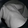 axeeeeel.bnd