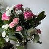 user61882206