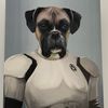 bomber.the.boxer