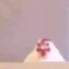 jsosa218