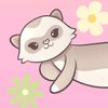 myfunkyferrets