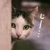 atsu.m___mga