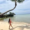 regine_caeda