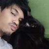meaw_pa33