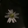 user.bangken.hoi