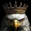 ahmed.baris