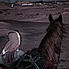 user51137055