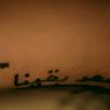 msoahm_80