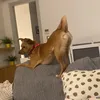 erika_and_molly