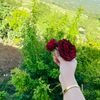 hodhod_ha7
