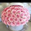 bckr_03