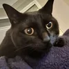 monsterababe