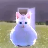 hxudjdhxjdu