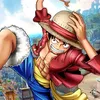 luffyrob1n
