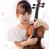 mimosajapan