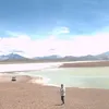 mlauramaidana
