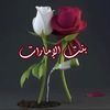 هند/ بنت الإمارات 🇦🇪