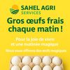 sahelagriservices7885508