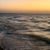 haneen_elharaare
