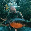 noddys_carping