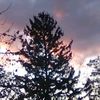 cute_sunset_hawaii