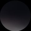 alii__019