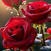 user35118270