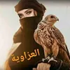 qilo80