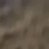 faroukalislam