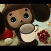 cheburashka1303
