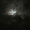 angeldust_444