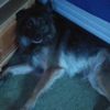 mystical_joey457