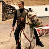 burhanbotan