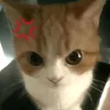 12andizinha12