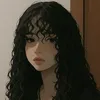 lcaliciast