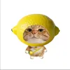 thnhh_hoangg
