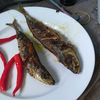 sederhana_ajha35